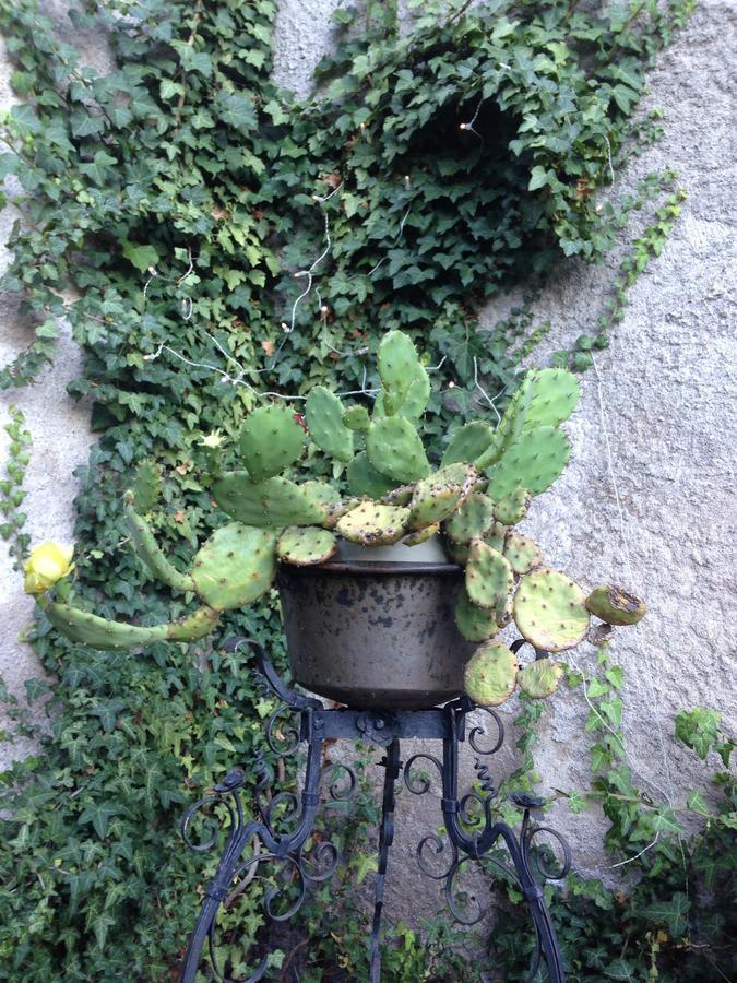 Bed and Breakfast A Casa Di Gianni E Mari Vestone Экстерьер фото